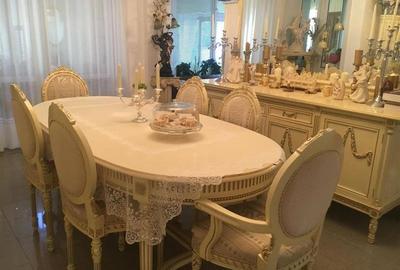 Casa Elisabetin amenajata 400mp 15 camere - 1