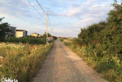Teren de 3277 mp, în Snagov - 6