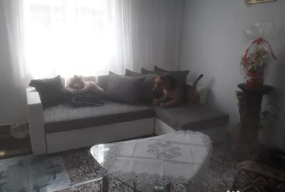 Casă cu 4 camere cu Teren 2000 Mp în Chilișeni - 8