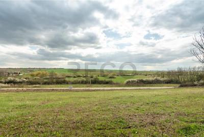 Teren intravilan Cetariu - 4