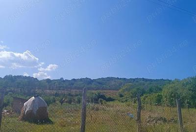 Teren de 3500 mp, în Central - 4