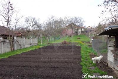 2 case alipite, teren la comun 1067 mp, demisol si parter, Dambul Rotund - 3