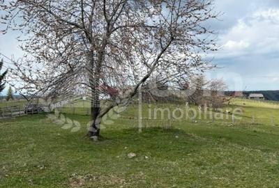 Teren Construcții intravilan de 1716 mp, în Mărișel - 1