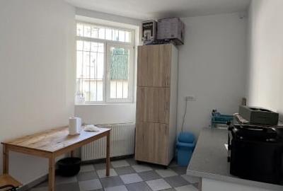Proprietar – Domenii, vilă pentru birouri sau cabinete medicale - 8