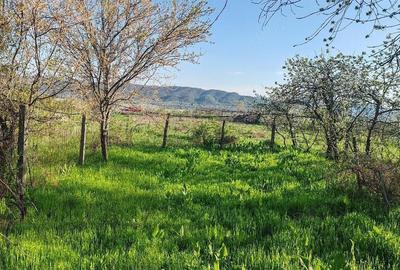 Casă cu Teren 5000 Mp în Unguriu - 6