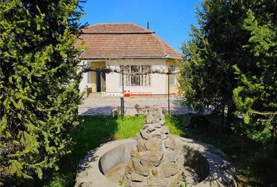 Casă cu Teren 1800 Mp în Petreu - 1