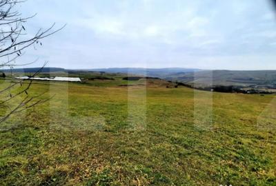 Teren de 4300 mp, în Sopor - 2