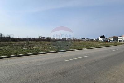 Teren Construcții intravilan de 5325 mp, în Odăi - 2