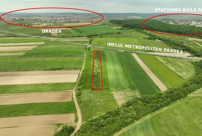 Teren Construcții intravilan de 5700 mp, în Cordău