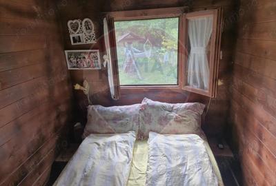 Casă cu 3 camere cu Teren 1268 Mp în Săpânța - 14