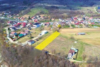 BUDESTI - TEREN 2550 MP - 7