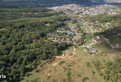 Spațiu comercial, în Stana - 1