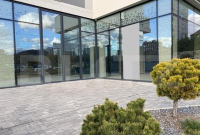 Spatiu comercial, alimentatie publica, vad, 280 mp finisat, - 1