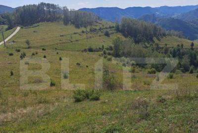 Teren extravilan 4.604 mp cu curent ideal pentru cabana - 2