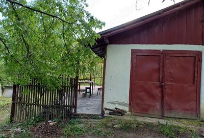 Vand casa Vrancea - 6