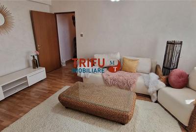 Apartament cu 2 camere semidecomandat în Cetate - 2