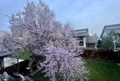 Masterpiece villa*** 6 camere//Independenta energetic//Kaufland Balotesti - 4