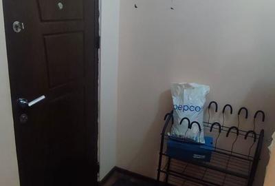 Apartament cu 2 camere decomandat în Vărsătura - 2