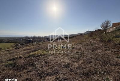 Teren de 5600 mp, în Cetate - 2