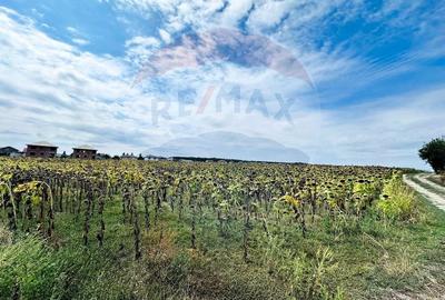 Teren 14.863mp, deschidere 42mp, acces 3 laturi - Ciorogarla, langa A0 - 7