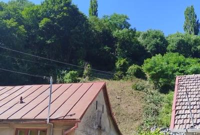 Vând  casă în Sasca montana - 8