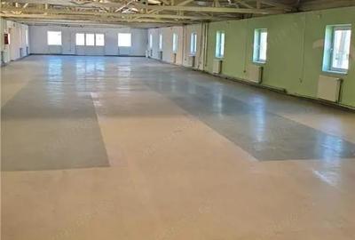 Hala multifunctionala de vanzare, Prejmer, Brasov - 2