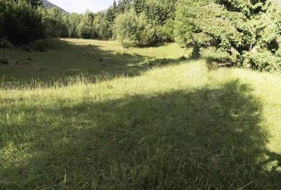 OPORTUNITATE INVESTITIE-negociabil - 5