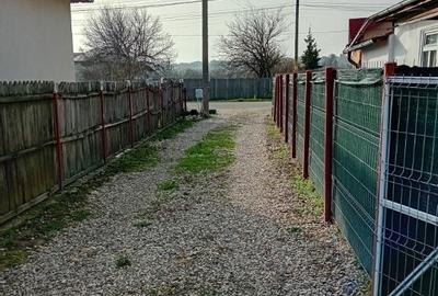 Casă cu 2 camere cu Teren 2000 Mp în Trivale - 2