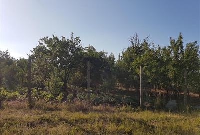 Teren de 1300 mp, în Mihăești - 4