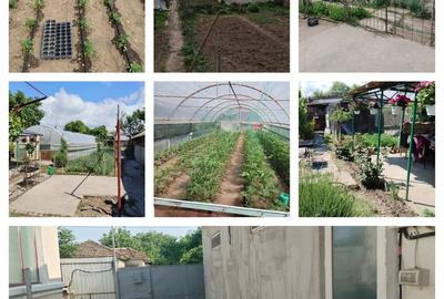 Casa + Atelier Auto +Panouri Solare+Contract Prosumator turnu magurele Casa + Atelier Auto +Panouri Solare+Contract Prosumator turnu magurele - 6