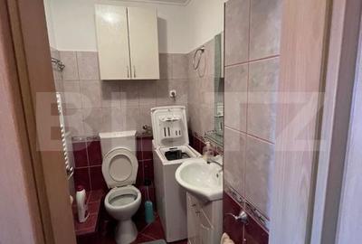 Apartament cu 3 camere în Nufărul - 11