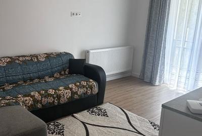 Apartament cu 2 camere în Viișoara - 4