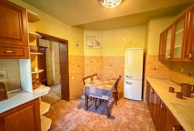 Casa spatioasa cu livada si sere- Ronat, Timisoara - 11
