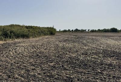 Spațiu comercial, în Sânandrei - 8