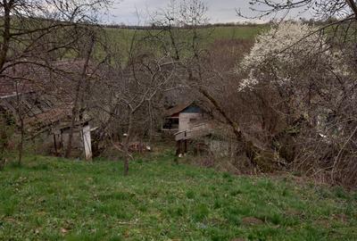 Teren Construcții intravilan de 2500 mp, în Dâmbu Pietros