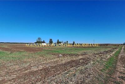 Teren de 400 mp, în Sud - 2