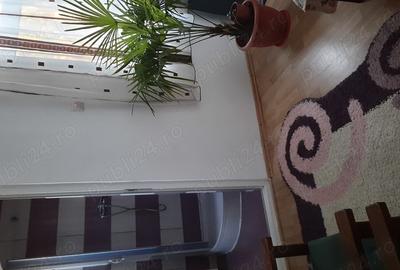 Casă cu 5 camere cu Teren 550 Mp în Sulina - 10