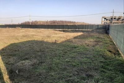 Spațiu comercial, în Mogoșoaia - 10