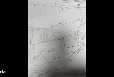 Teren de 4200 mp, în Mogoșani - 1