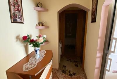 Apartament cu 2 camere decomandat, mobilat în Vidin-Progresul - 7