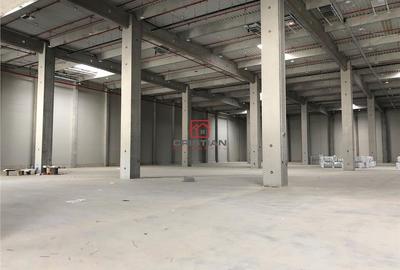 Spațiu comercial, de 25,000 mp, în Bolintin-Deal - 10
