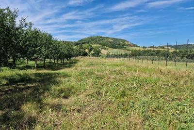 Spațiu comercial, în Central - 4