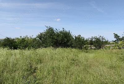 Teren de 925 mp, în Berceni - 3