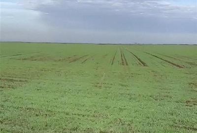 RECO teren extravilan Les , putin peste 2 /mp - 3