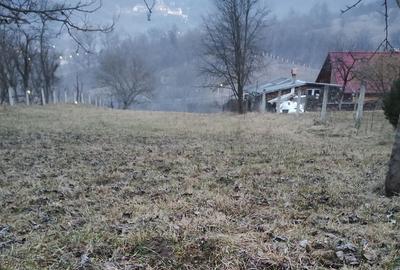 Teren Construcții intravilan de 2750 mp, în Nicula - 5