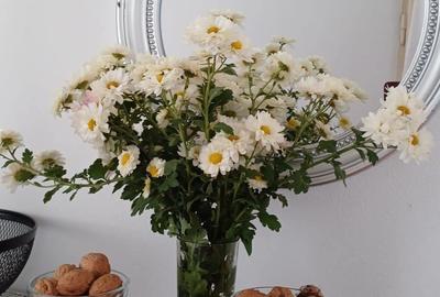 Casă cu 2 camere în Giurgița - 8