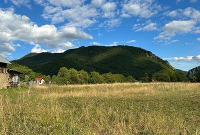 Spațiu comercial, în Lepșa - 8