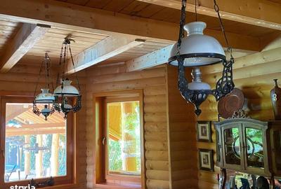 Casă cu 6 camere cu Teren 17000 Mp în Dumbrăvița - 16