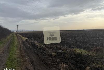 Teren de 20300 mp, în Central - 3