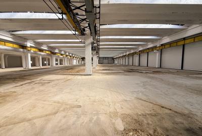 Spațiu industrial, de 6,857 mp, în Mârșa - 18